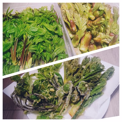 みんなの投稿の画像