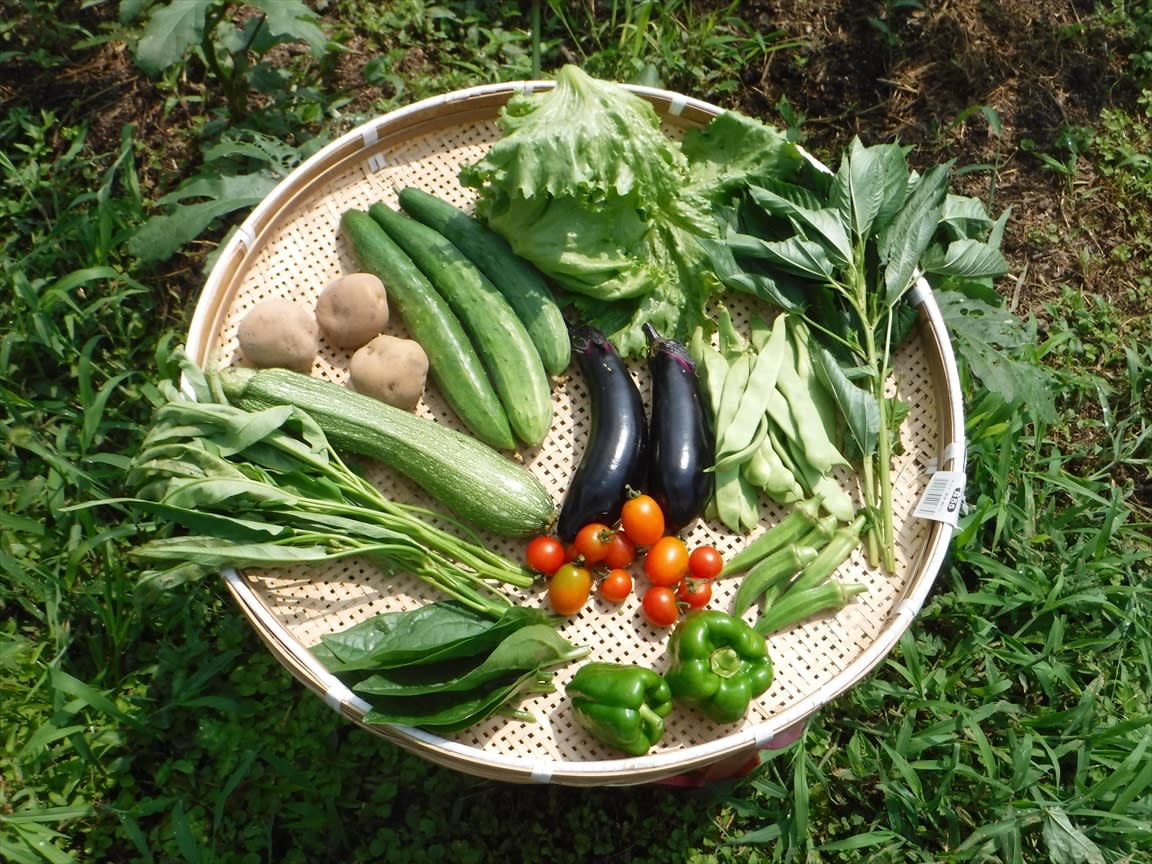 鳥取県産 農薬不使用 果物野菜セット❣️ - 果物