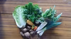 有機JAS認定　旬の野菜セット（大）