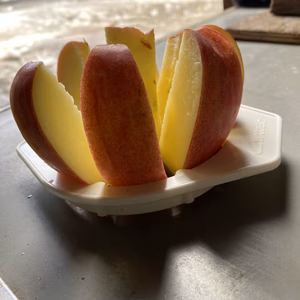 【限定販売！】 大雨災害に負けなかった雪室りんご！