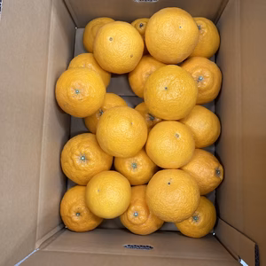 和歌山県有田産☆不知火　綺麗めな小さめサイズ　箱込み約5キロ