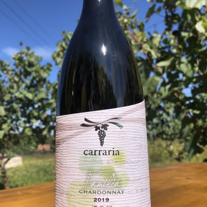 ”familia” chardonnay 2019