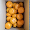 3Ⅼ以上サイズ　4㎏ 家庭用　山口岩国みかん 瀬戸内の恵み　　