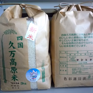 久万高原のコシヒカリ10kgーエコえひめ（愛媛県特別栽培認証）取得