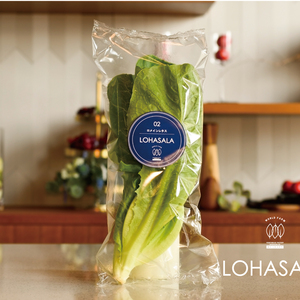 菌数管理野菜 LOHASALA ロメインレタスセット　(6個入/合計約500g個