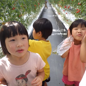 トマト嫌いをなくすトマト