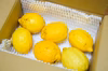 ［使い切りサイズ］低農薬レモン［訳あり］
