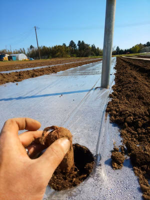 みんなの投稿の画像