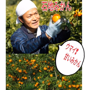 越冬樹成❢プロが選別したみかん【石地温州みかん】
