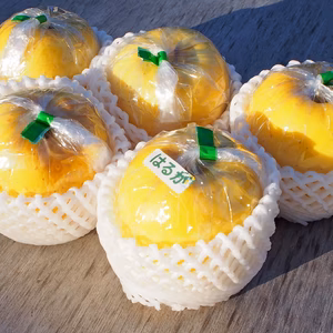 【糖度13〜14度】りんご はるか 自宅用 訳あり 小玉も 3kg