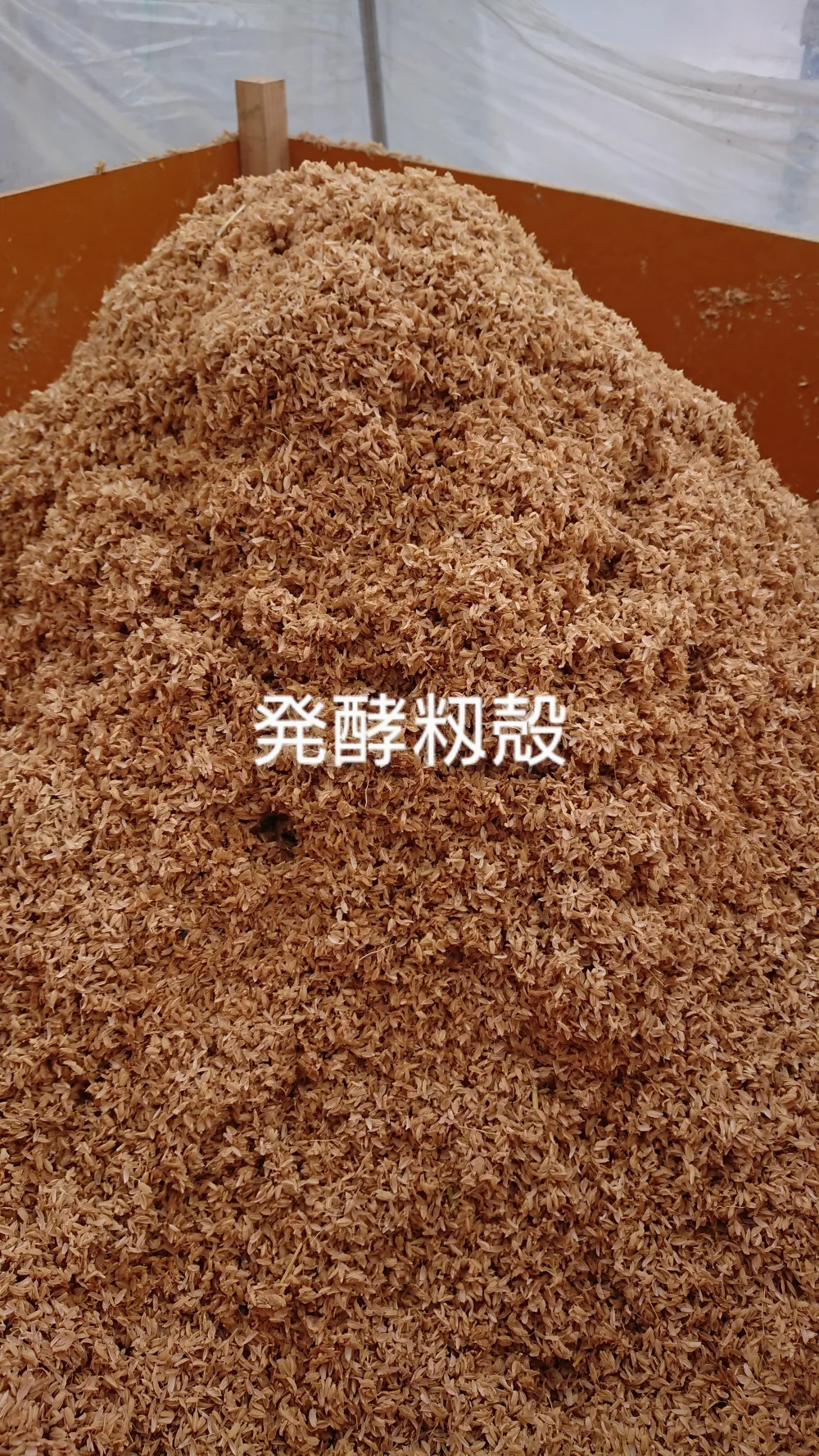 無農薬・無化学肥栽培の朝採り‼️ 甘いフルーツ蕪2種類食べ比べセット‼️