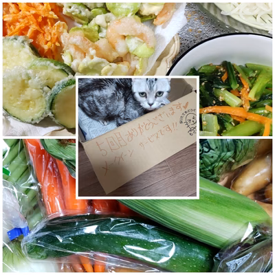 みんなの投稿の画像