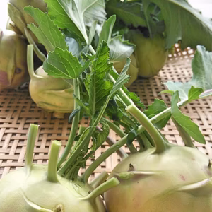 贅沢コールラビ！淡路島AwajicHorrorGarden