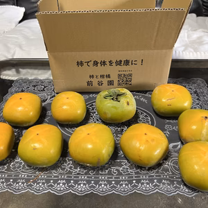 旬の美味しさ❗️訳ありたねなし柿　小箱　10〜12個入り