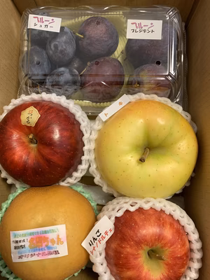 みんなの投稿の画像