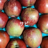 【訳アリ】青森県産りんご『紅玉』ひょうキズ、シブ、サビ、ヤケ！加工用などに！