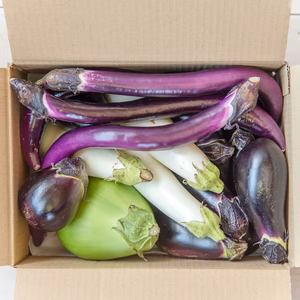【お得なまとめ買い！】今が旬！自然栽培のいろんなナス食べ比べセット！
