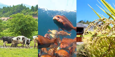 ポケマルから見えてくる👀「資材高騰」のいま　−第１回　生産者編−