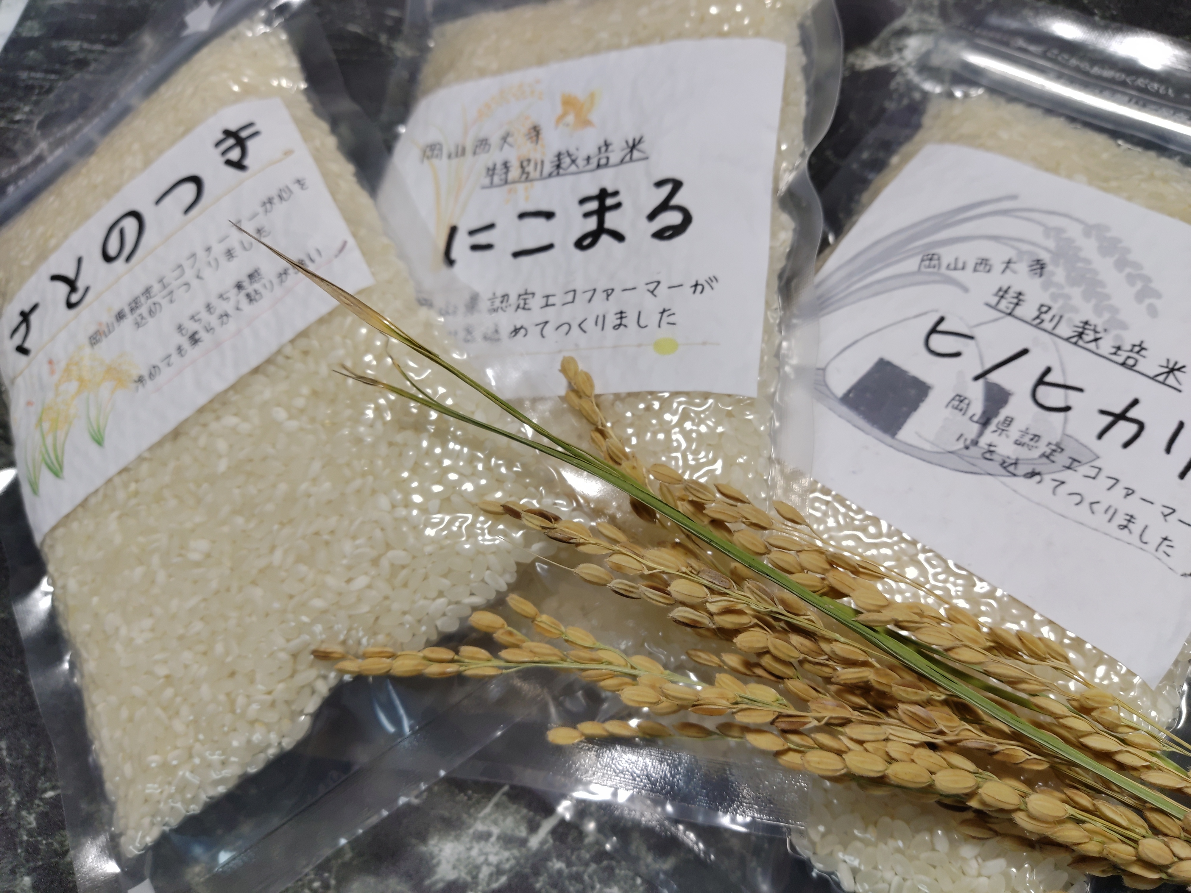 令和5年産 お米食べ比べセット（にこまる・さとのつき・ヒノヒカリ