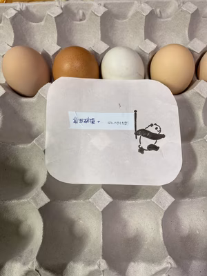 みんなの投稿の画像