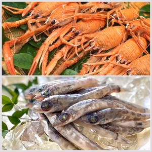 カニ風味のガシャエビと唐揚げで食べたい子ボッチセット