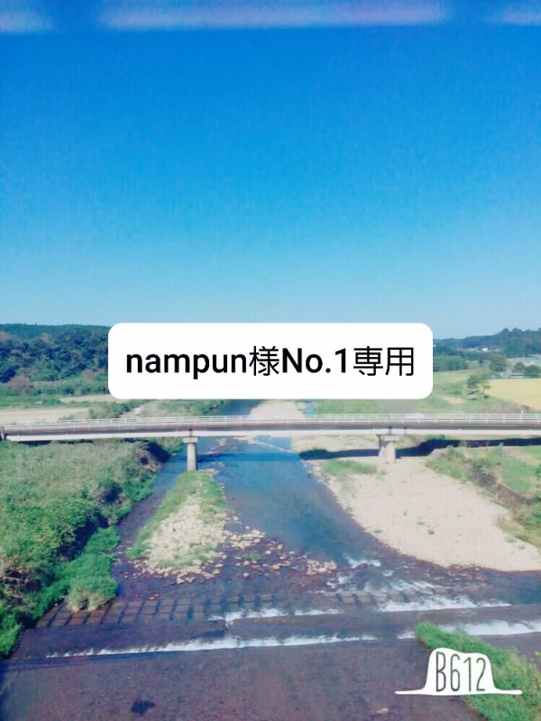 nampun様専用です。