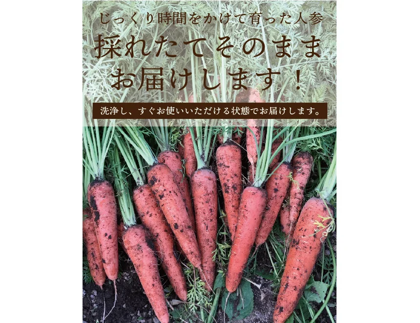 人参嫌いのお子様におすすめ！お得！訳ありフルーツにんじん【有機JAS認証】