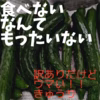 訳あり絶品きゅうり