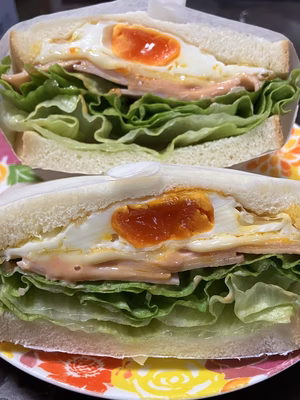 みんなの投稿の画像