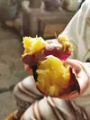 熟成シルクスイート5kg