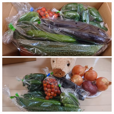 みんなの投稿の画像