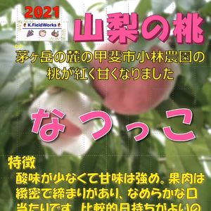 人生の楽園の小林農園 なつっこ2kg(9個)7月29日頃発送