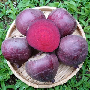 *甘くて瑞々しい夏ビーツ* 農薬化学肥料不使用 