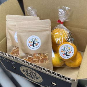 極早生みかんとドライフルーツセット‼︎中山農園のみかんとドライ