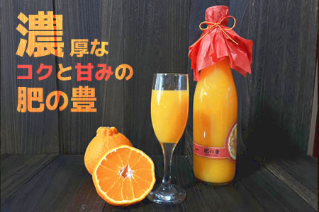 熊本県産 肥の豊(不知火)ストレートジュース 720ml×12本 ☆【産直】スイートンビター不知火柑ジュース（ストレート