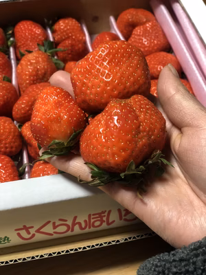 みんなの投稿の画像