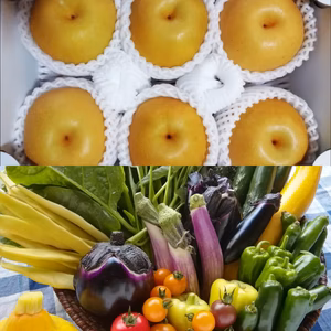 ★大人気★アルコアーナ農園野菜セット&幸水梨3kg【直送便】