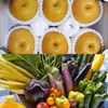★大人気★アルコアーナ農園野菜セットM&豊水梨3kg【直送便】