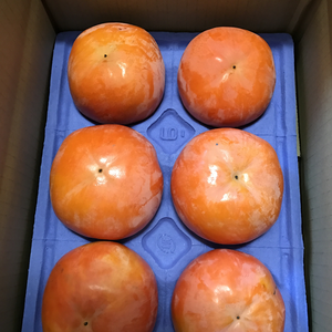『本当の富有柿』甘さの極み  岐阜県産袋掛け富有柿3L ６個