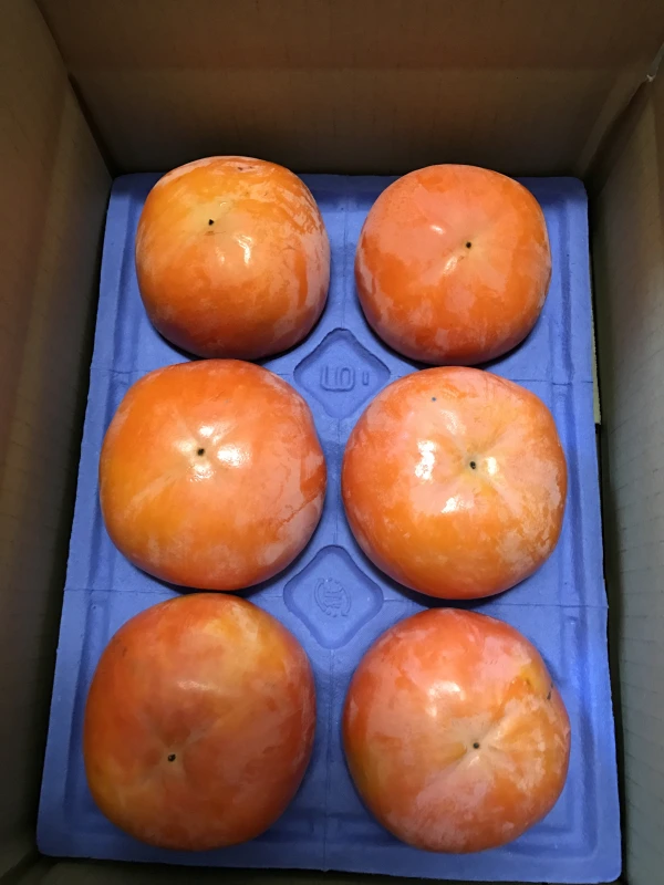 『本当の富有柿』甘さの極み  岐阜県進物用  3L ６個  2週間限定
