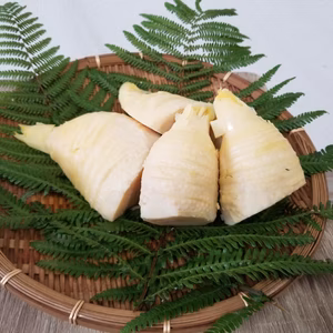 鹿児島県産★ゆがきたけのこ★真空パック