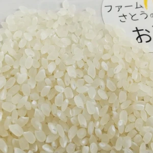 ファームさとうのお米 コシヒカリ：白米【千葉県香取市産】   