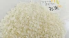 ファームさとうのお米 コシヒカリ：白米【千葉県香取市産】   