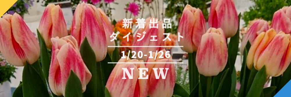 バックナンバー]チューリップで春はじめ🌷今週のおすすめ新着出品[2021 ...