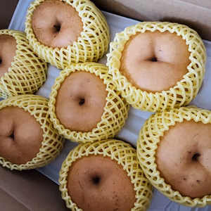 【ご家庭用】甘くてジューシー愛宕(あたご)梨　約5kg(6〜10玉)