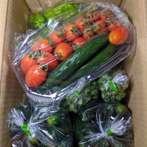 夏野菜の詰め合わせ