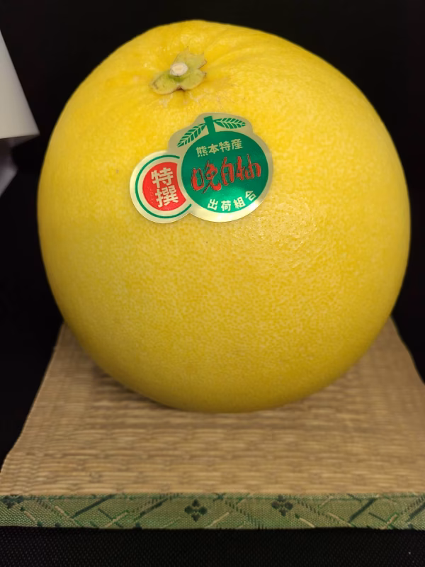 熊本県八代特産ばんぺいゆ11月下旬より順次お届け！