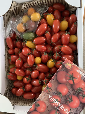 みんなの投稿の画像