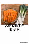 ☆年末限定！！「紅白カブ・大根・人参・生姜・長ネギ」の詰合せ☆