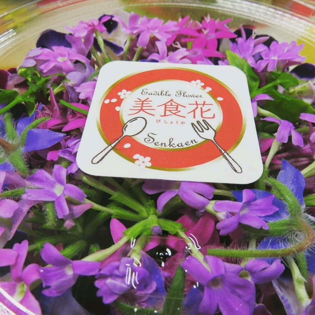 エディブルフラワー「美食花」青系｜エディブルフラワー・食用花の商品